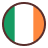 roi flag circular icon